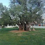 San