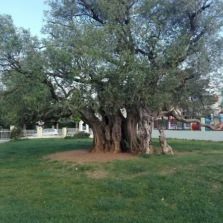 San